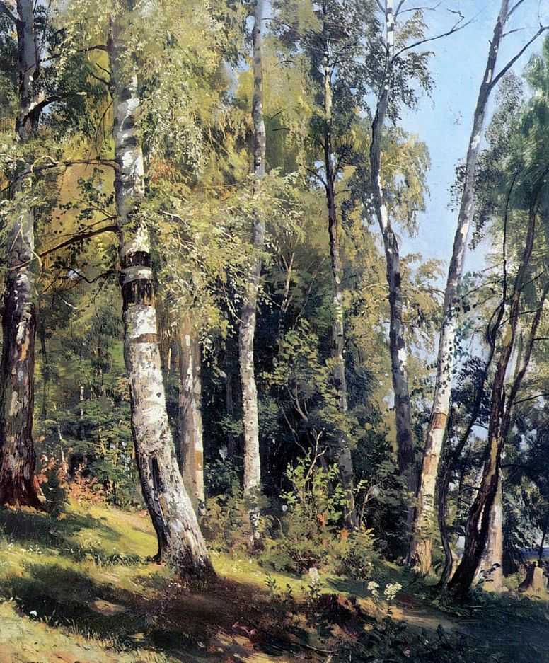 Ivan Shishkin Birch Grove